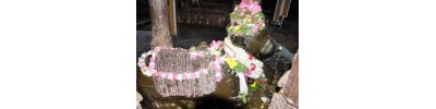 செக்கானூரணி 